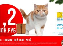 Новогодний кот для ЖК Суворовского