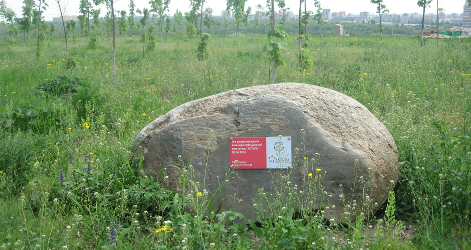 Камень Астера в парке Суворовского
