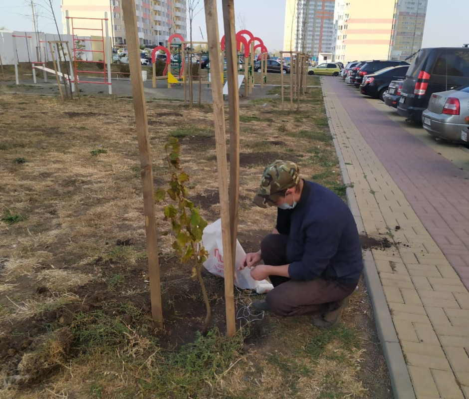 День древонасаждения в ЖК Суворовский 2020 года. Сажаем дерево.
