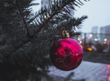 Остановим воровство елочек в ЖК Суворовский