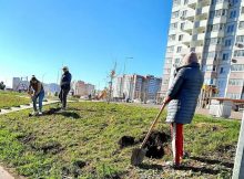 День озеленения в ЖК Суворовский, осень 2021