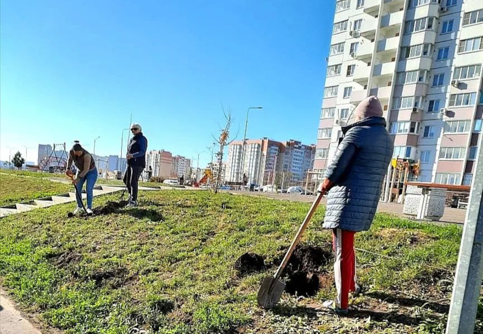 День озеленения в ЖК Суворовский, осень 2021